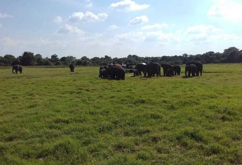 بنسيون Elephant Safari Lodge Sigiriya Junction