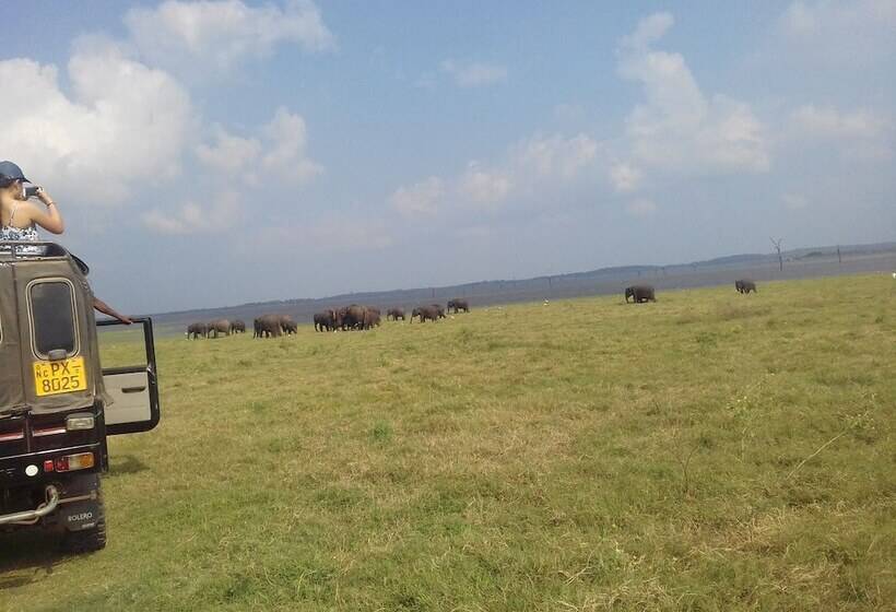 بنسيون Elephant Safari Lodge Sigiriya Junction