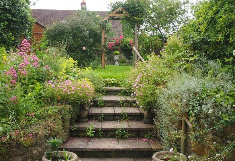 تختخواب و صبحانه Clare Cottage