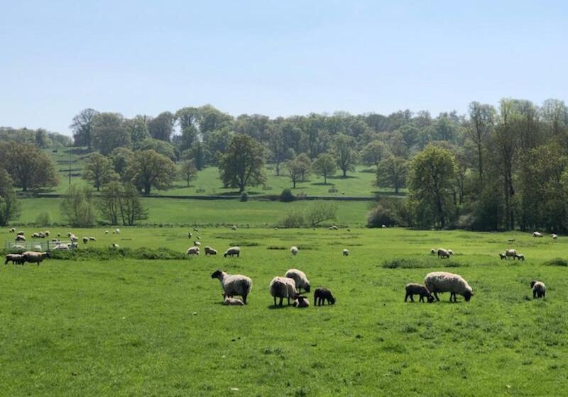 تختخواب و صبحانه Clare Cottage