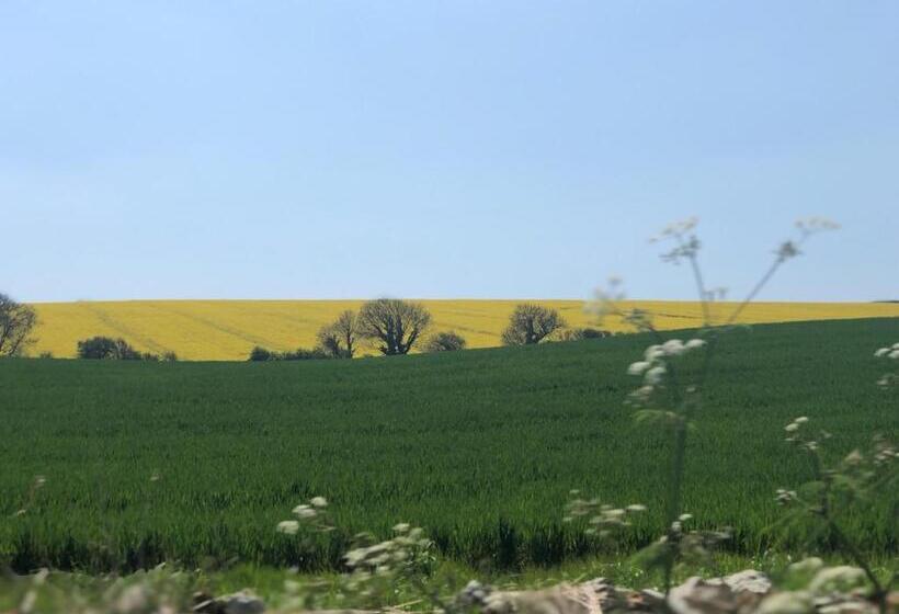 تختخواب و صبحانه Clare Cottage