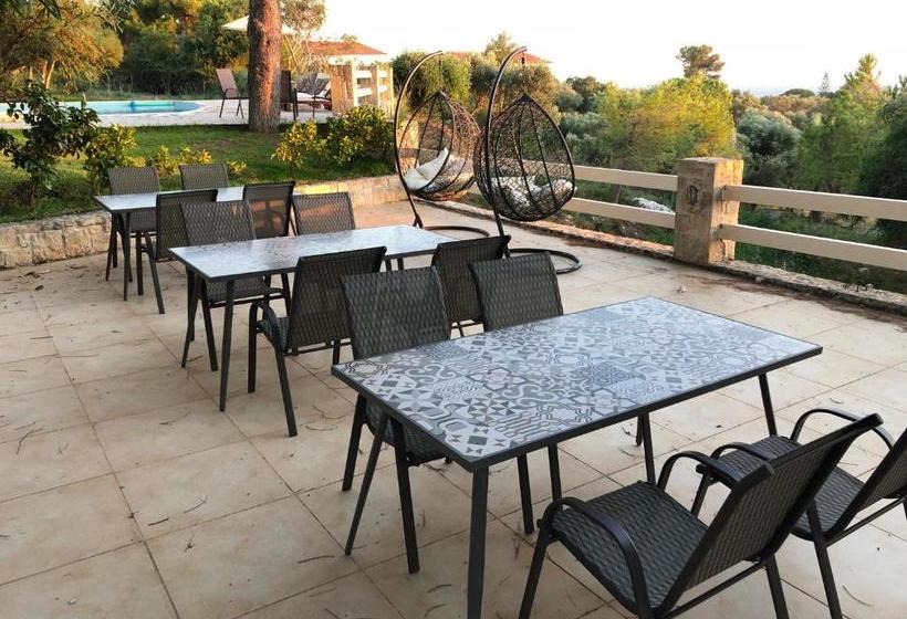 Belvista Luxury Apartments