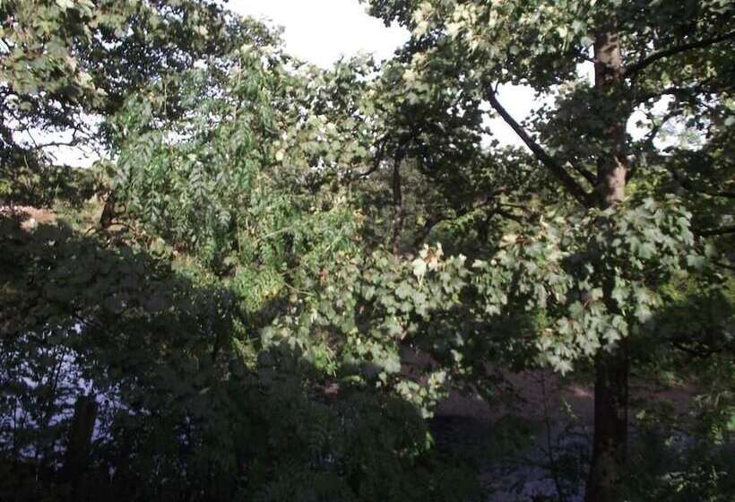 فندق Dalgarven House