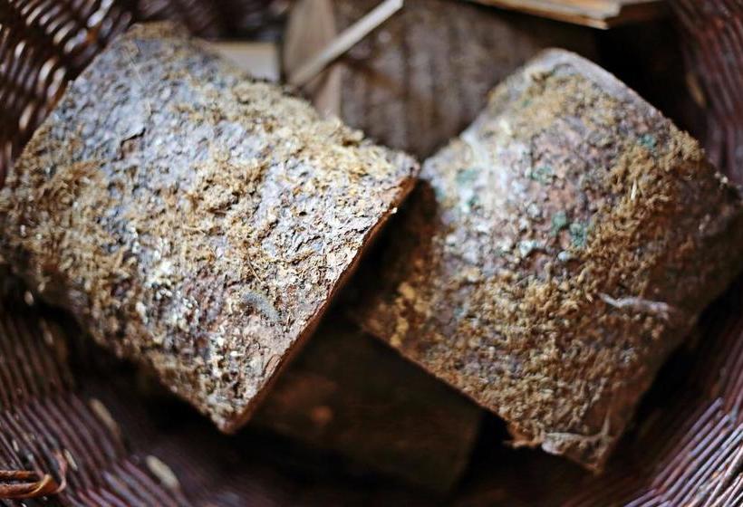 Kensington Lodge B&b