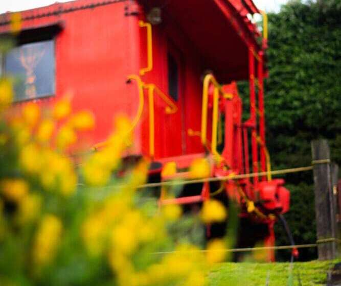 Los Vagones Cabañas Restaurante Bar