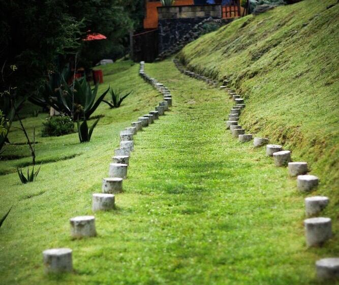 Los Vagones Cabañas Restaurante Bar