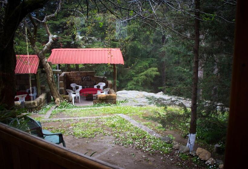 Los Vagones Cabañas Restaurante Bar