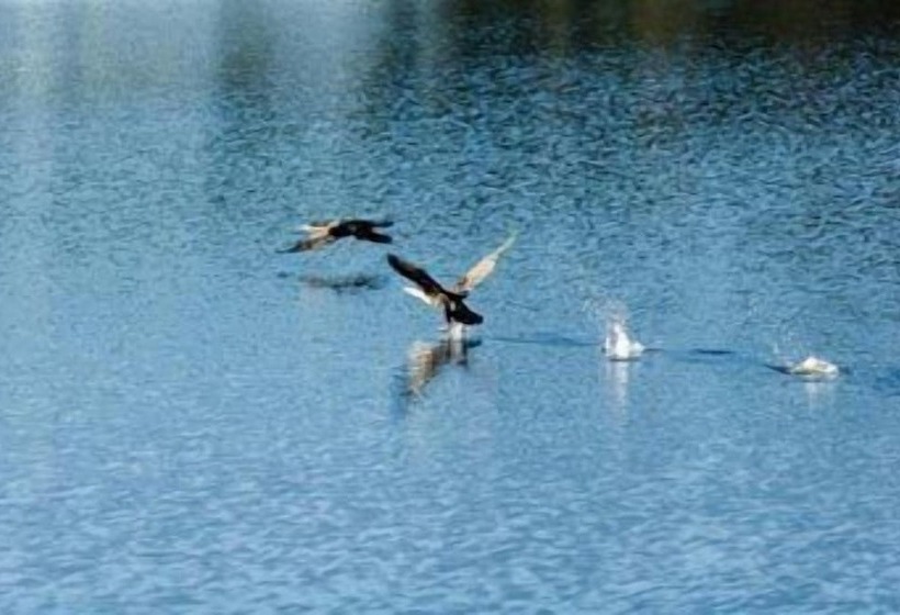 Phantom View River Resort