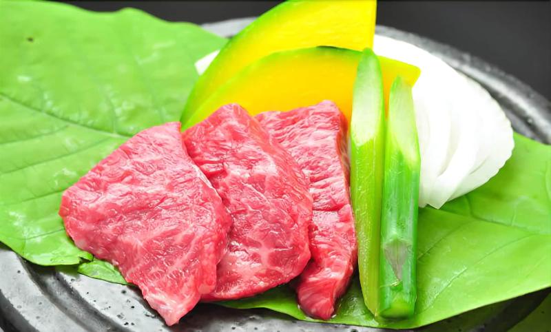 Ryokan Hakuba Hifumi