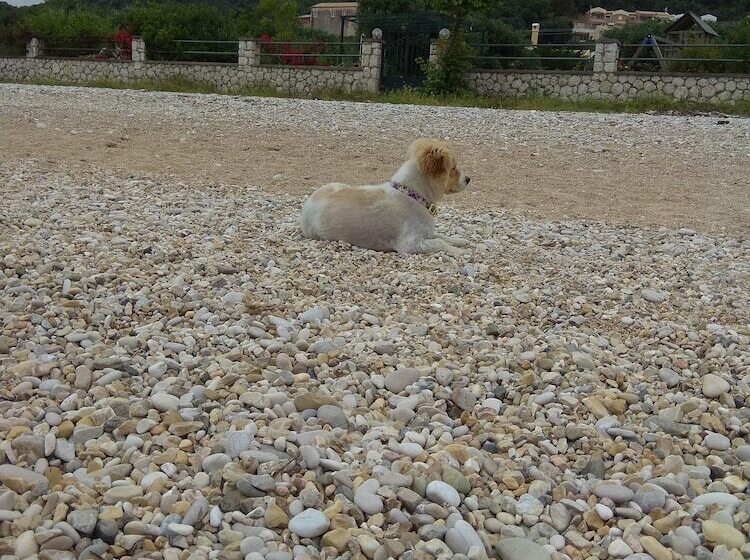 Sarakinos Apartments