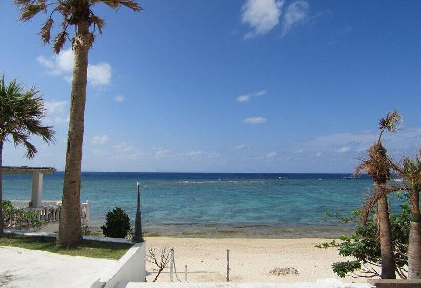 Guest House Diamond   Hostel