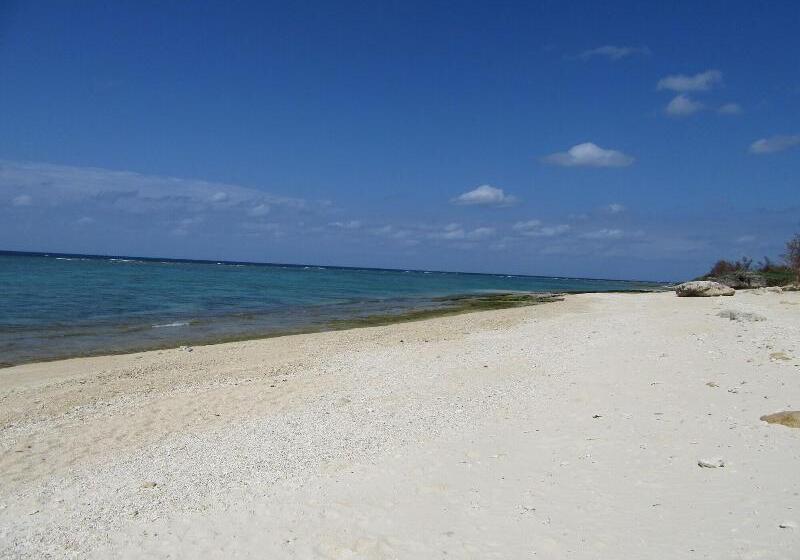 Guest House Diamond   Hostel