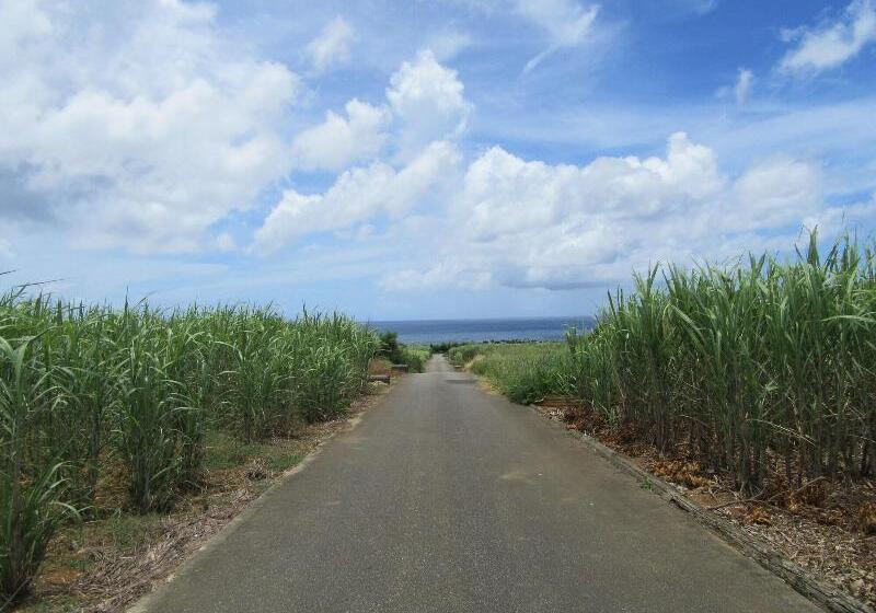 Guest House Diamond   Hostel