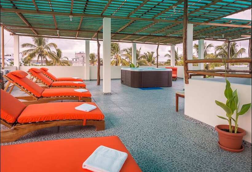 בית מלון כפרי Flamingo