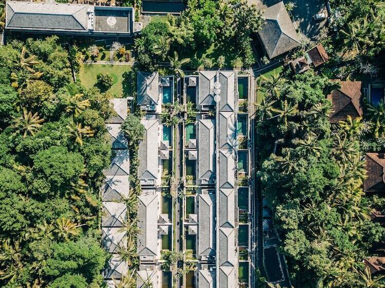 酒店 The Palm Green Ubud