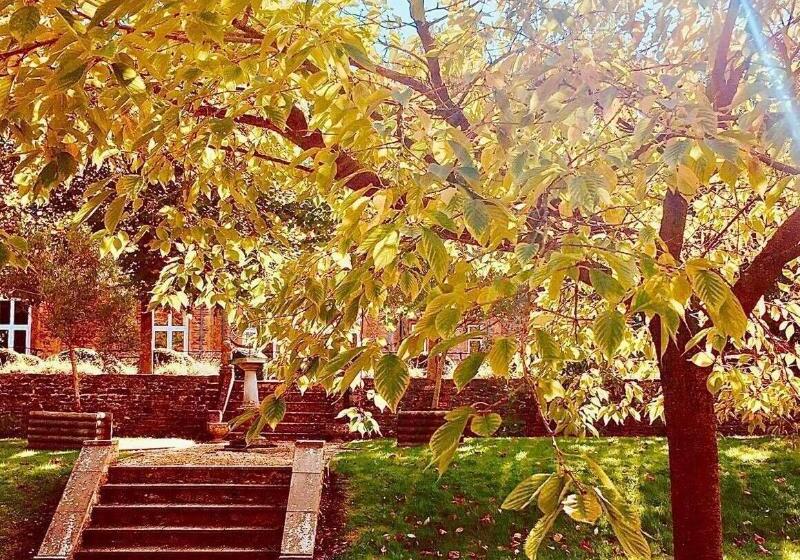 בית מלון כפרי Lanes