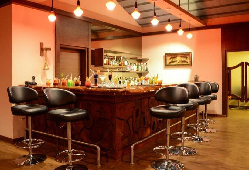 Hotel Purple Palms Resort & Spa