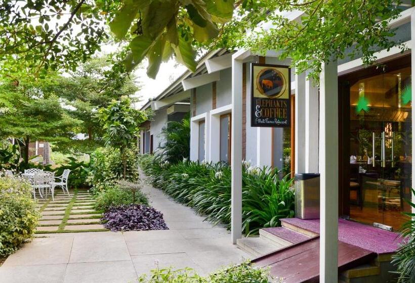 Hotel Purple Palms Resort & Spa