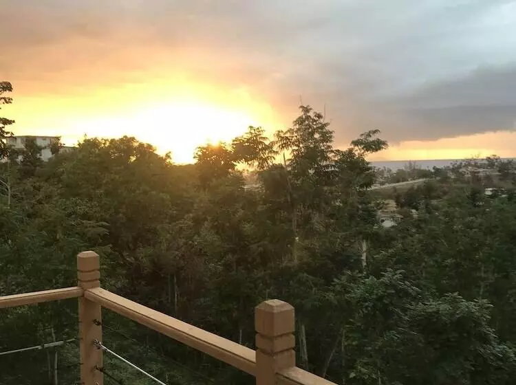 Mango Hill Retreat