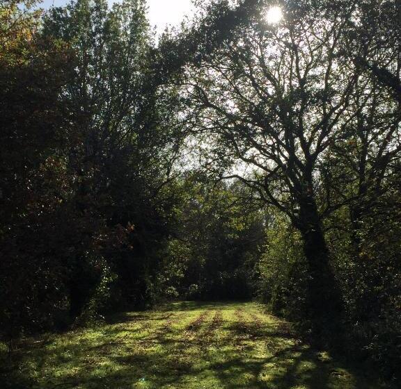 住宿加早餐  Les Colonnes De Chanteloup