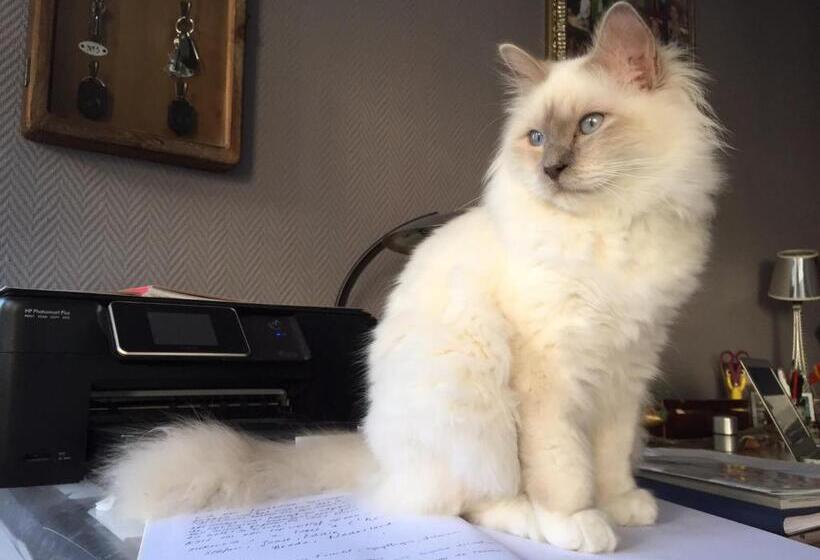 住宿加早餐  Les Colonnes De Chanteloup