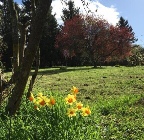 住宿加早餐  Les Colonnes De Chanteloup
