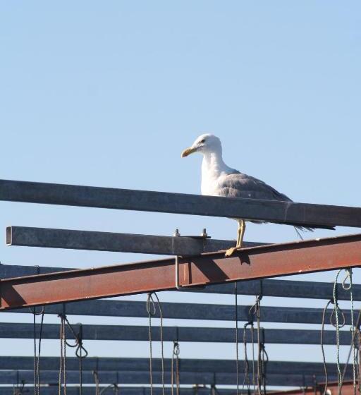 Bed and Breakfast Villa Chateau Les Terrasses, Tamaris, Vues Mer Exceptionnelles Au Calme, Mer Et Plage à 2mn à Pied