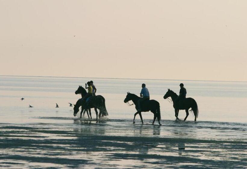 Bed & Breakfast Van Marion