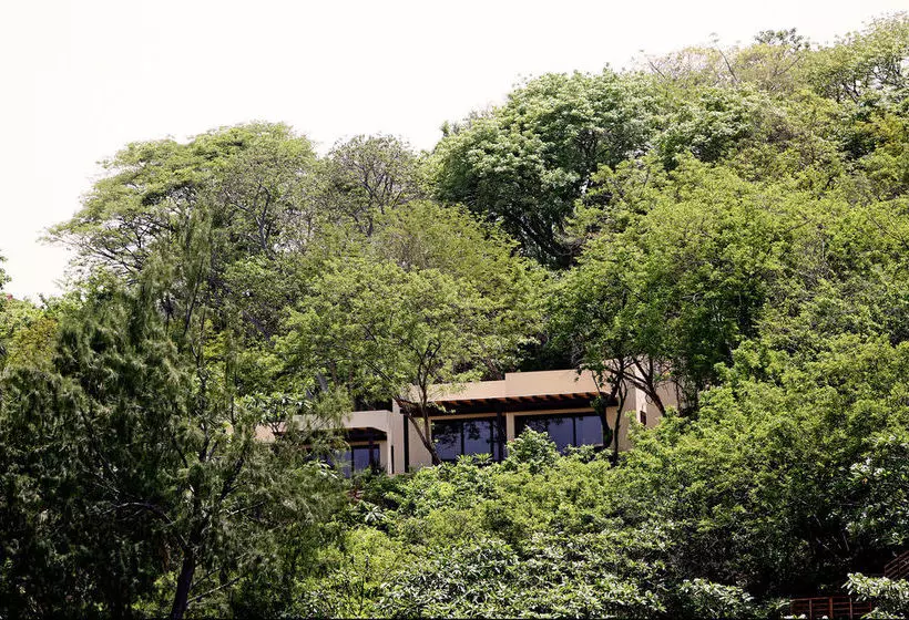 ホテル Las Flores Resort