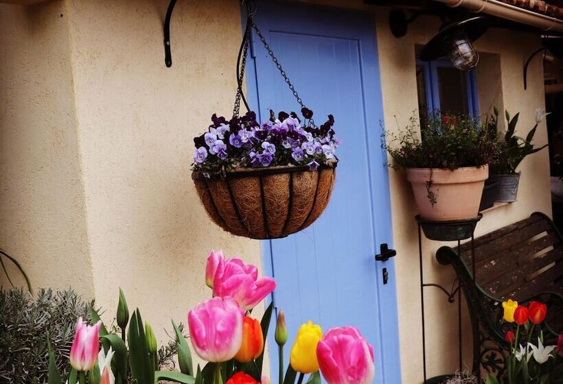 Skylark Bed & Breakfast