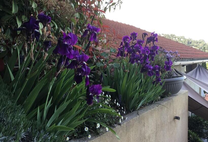 Skylark Bed & Breakfast