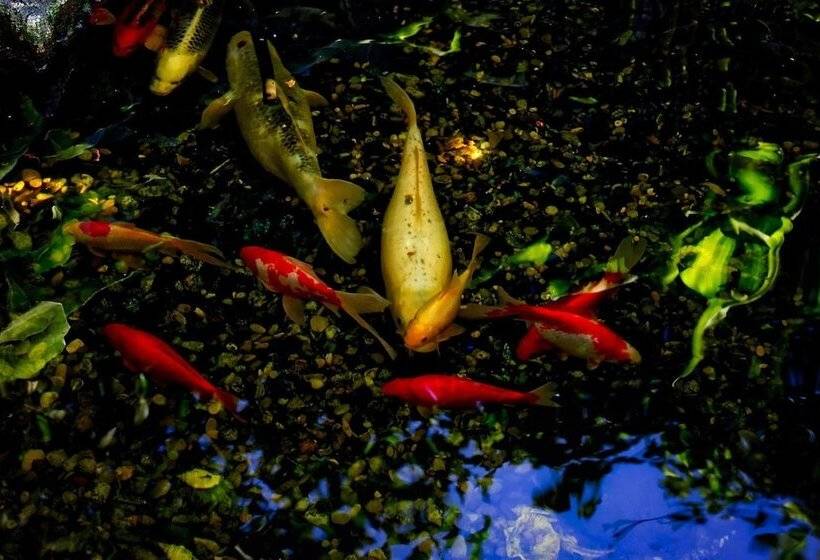 Skylark Bed & Breakfast