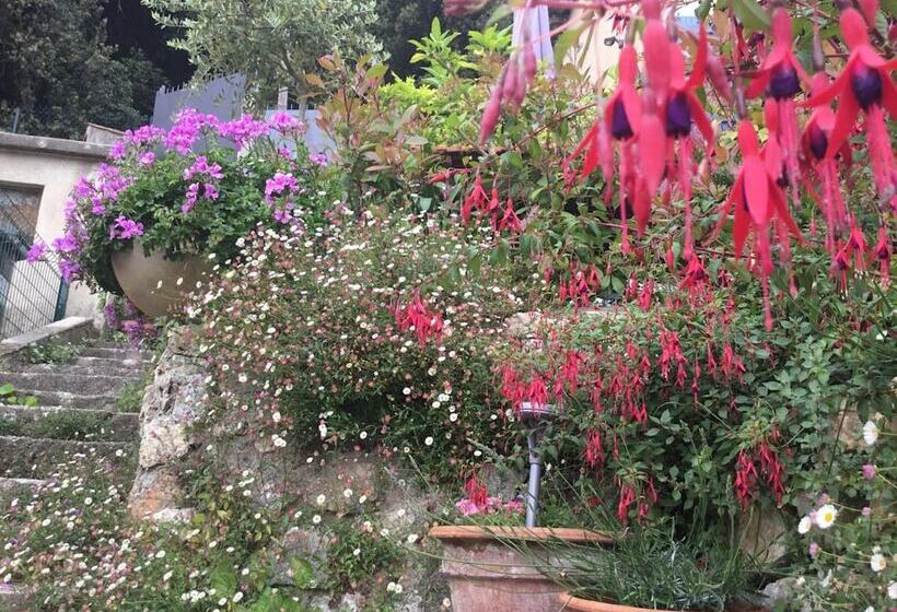 Skylark Bed & Breakfast