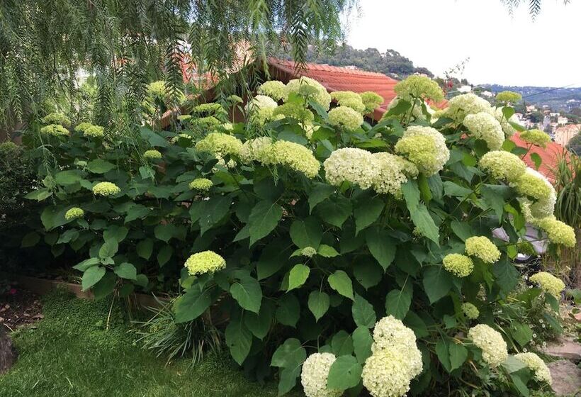 Skylark Bed & Breakfast