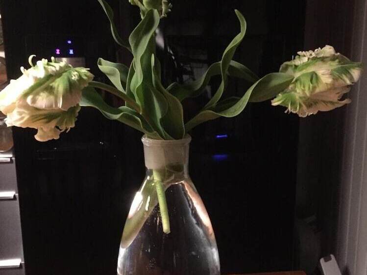 Skylark Bed & Breakfast