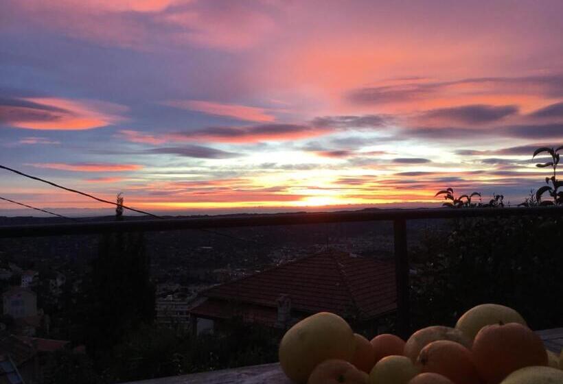 Skylark Bed & Breakfast