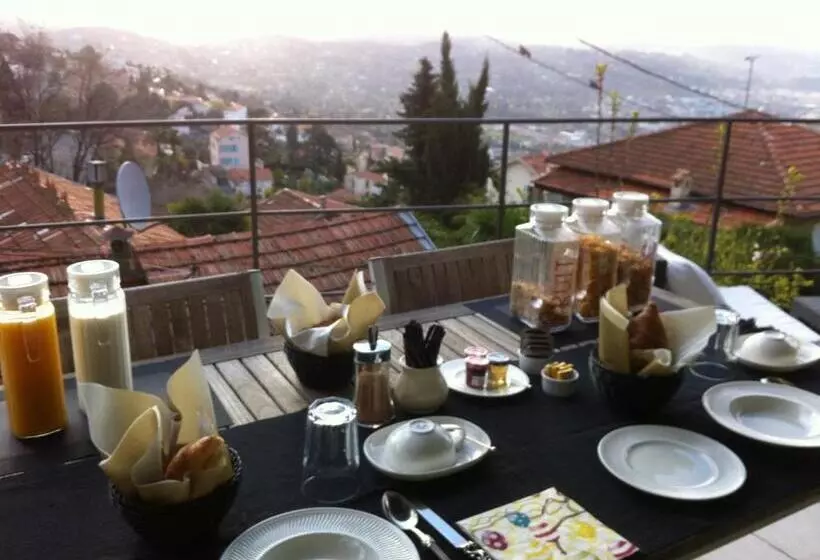 Skylark Bed & Breakfast