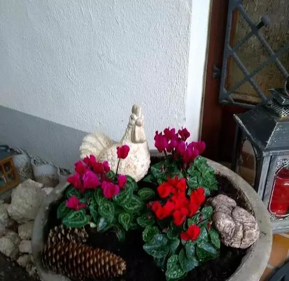 Tannhäuser B&b