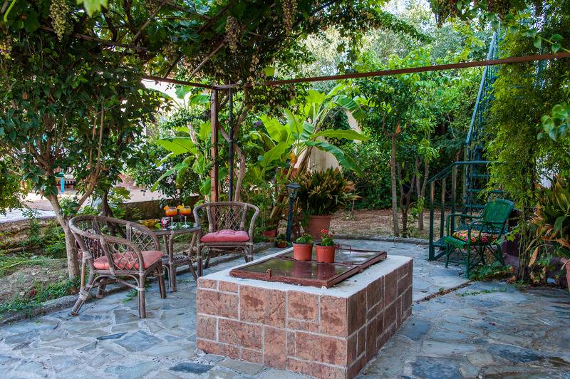 Zante Nest Studios & Apartments