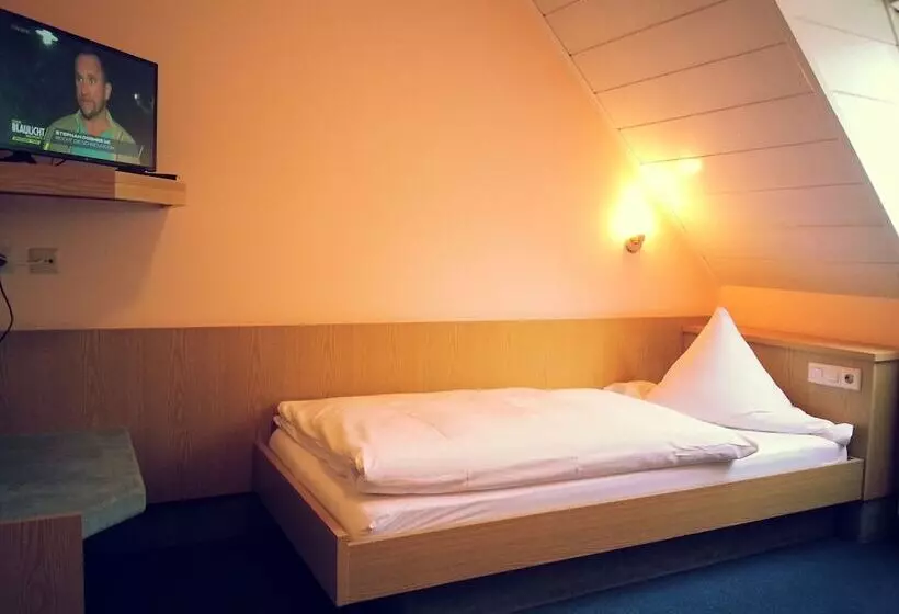 Zip Hotel Lingenfeld