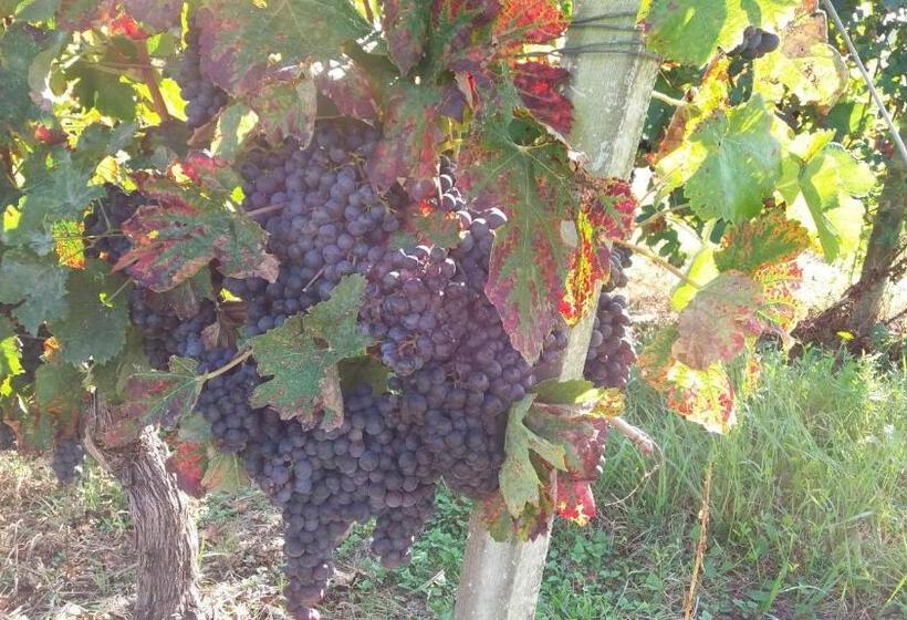 민박 Domaine Du Papillon