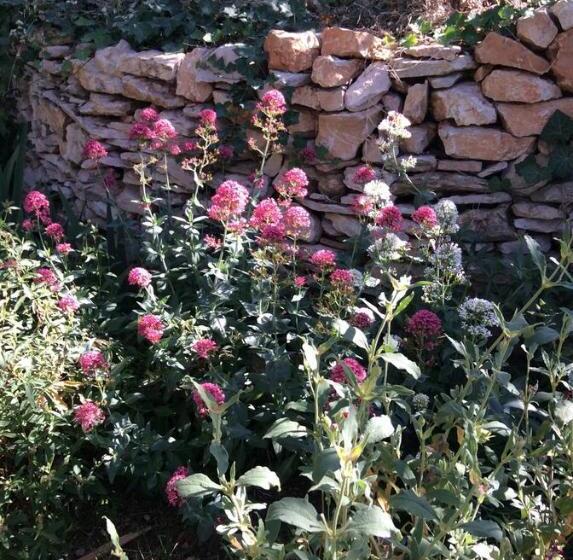 تختخواب و صبحانه Inn 4 Bears