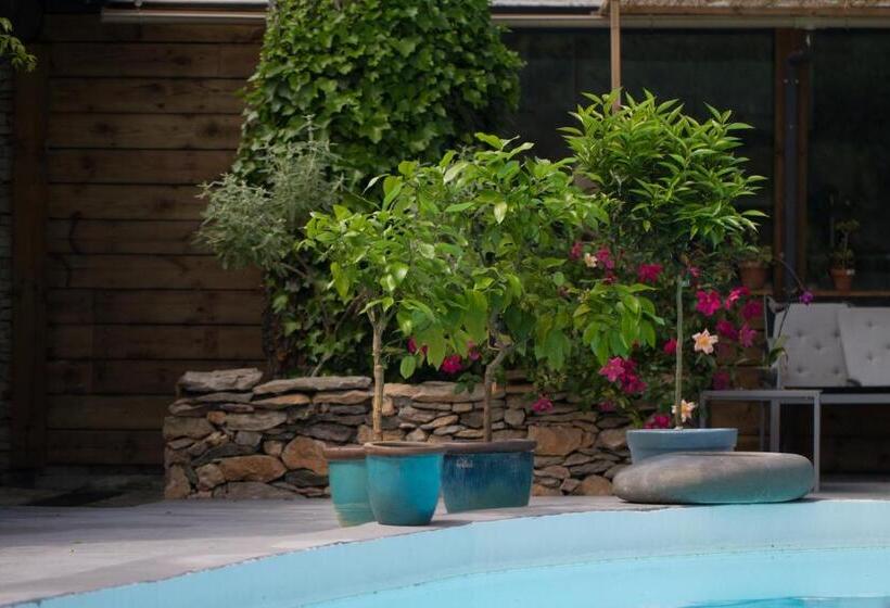 تختخواب و صبحانه Inn 4 Bears