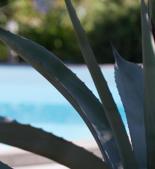 تختخواب و صبحانه Inn 4 Bears