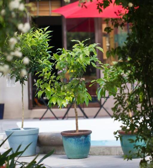 تختخواب و صبحانه Inn 4 Bears