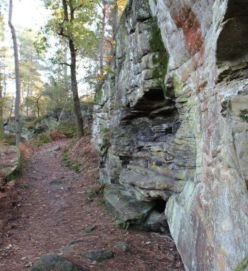 민박 L Alisier Chantant