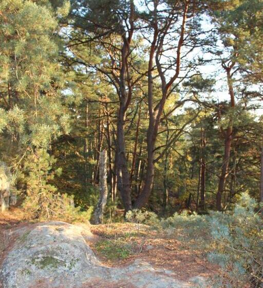 민박 L Alisier Chantant