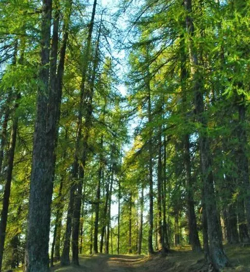 تختخواب و صبحانه La Ferme De Beauté