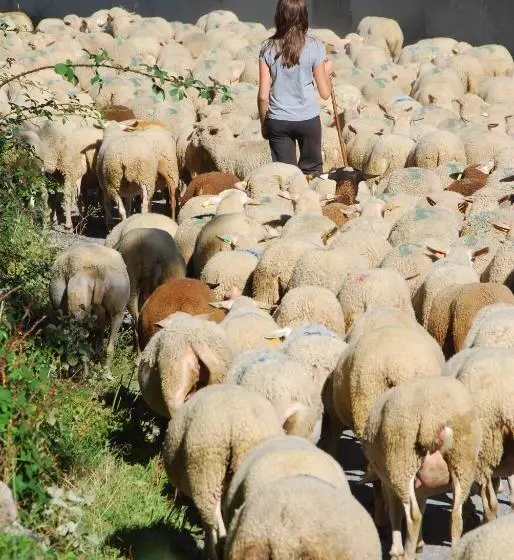 تختخواب و صبحانه La Ferme De Beauté