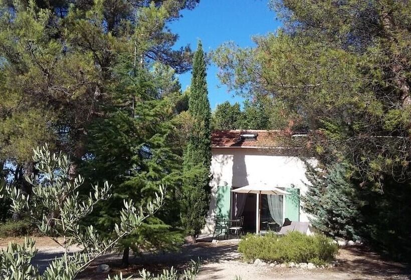 ベッドアンドブレックファースト Le Laou